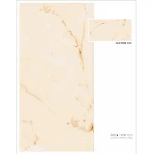 पॉलिश ग्लेज्ड पतला सफेद चीनी मिट्टी के बरतन मैट सीमेंट लुक फर्श टाइल 60x120 सेमी