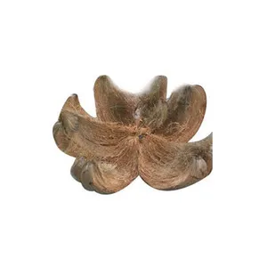 Wholesale Factory Price Coconut Husk From India