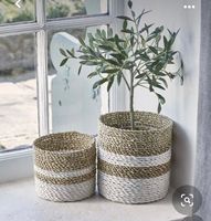 Maceta de algas marinas para interior, cubierta de macetas, contenedores de plantas