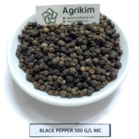 Poivre noir séché du Vietnam, qualité supérieure, 500g, certifié ASTA, Agrikim, Mme Camie +84 326055616