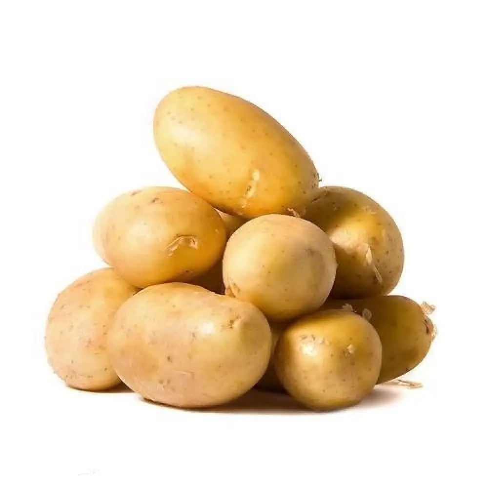 新作物新鮮なジャガイモ中国100% 有機ジャガイモ新鮮な黄色い皮のジャガイモバングラデシュからの最安値