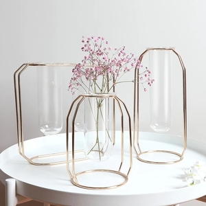 Tube Transparent Verre Métal Vase Meilleur Design Fer Cadre Flacon En Verre Pot De Fleur Maison & Hôtel Décoration Vase À Fleurs - Product Image 2
