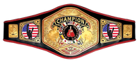 Ceinture de champion personnalisée pour la lutte, la boxe, le kickboxing, le MMA, le BJJ, la musculation, ceinture en métal personnalisée pour les arts martiaux
