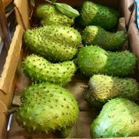 Hoogwaardige biologische verse zuurzakvruchten uit Vietnam, graad A VDELTA, 20cm, 1,5kg //NICKY