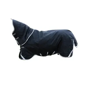 ม้าพรมหัวผักกาด - Product Image 1