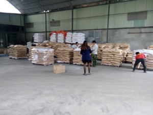 Amidon de marante de la meilleure qualité au Vietnam, meilleur prix - Product Image 6