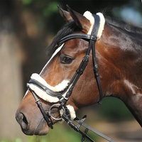 Haltères pour chevaux de haute qualité, haltères en cuir premium, haltères à fil barbelé pour chevaux, haltères de créateur d'Argentine à prix de gros, vente chaude