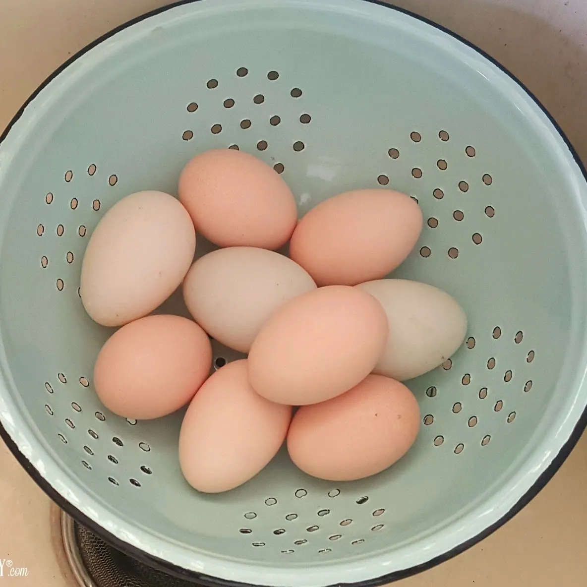 Мыть ли куриные яйца. Мойка яиц. Помыть куриные яйца. Fresh Eggs.