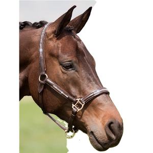 Licol de cheval en cuir de luxe de haute qualité et tendance avec chaîne en cristal transparent sur la couronne, le nez et les joues - Product Image 1