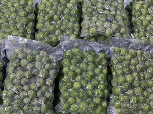 Exportación de Fábrica de Dracontomelon Congelado a Granel - Product Image 3