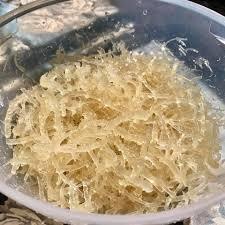 De alta calidad de EUCHEUMA COTTONII algas-HELEN + 84374288086 - Product Image 4