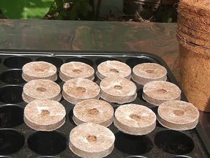 Pastillas de turba y Coco de fábrica de Vietnam, para Coir, Jiffy, precio barato - Product Image 5