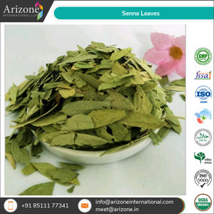 Proveedor al por mayor de hojas Senna de buena calidad al mejor precio - Product Image 6