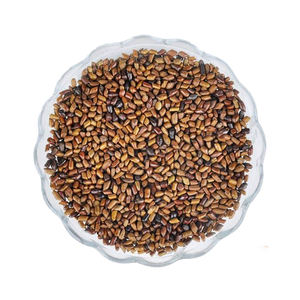 Graines supérieur en cafin, 2 pièces sans café, graines Tora originales, disponibles en Stock, prêt à l'exportation depuis le fournisseur breveté - Product Image 1