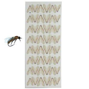 Flaschen-/Bienen-/Kranich-/ Wespenflügel-Muster Bindematerialien Echte Fliegen Angeln Realistisches Material (B13) - Product Image 5