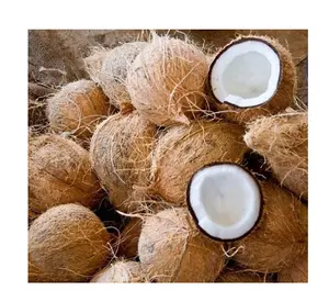 Supplier and Manufacturer Fresh Brown Semi-husked Coconut New Season 2020