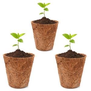 Jardinières biodégradables en fibre de coco biodégradables, pots pour fleurs, bon marché, vente en gros, exportation - Product Image 3