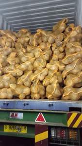 COCO SEMI-DESHUESADO SECO - Product Image 6