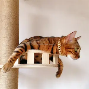 De gros cubain chaîne chats-Collier Animal de luxe en métal doré 18k, chaîne de collier à maillons, pour chiens et chats, nouvelle collection 2020