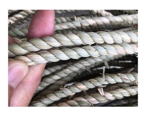 Cuerda de algas marinas de alta calidad, material al por mayor de 99 gold data de vietnam - Product Image 4