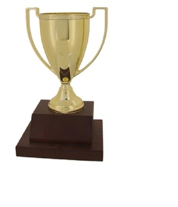 Trofeo de premios dorados de Metal, trofeo para funciones escolares y competición, precio al por mayor - Product Image 1