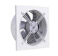 Ventilateur axial mural à moteur externe à roulement à billes VE-AXIN 200~350 mm, 220-240V, certifié CE, en fonte, pour restaurant, AC