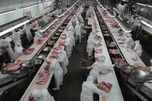 Carne de vaca congelada de Brasil, 12 a 29 cortes, nueva certificación para el mercado chino, carne sin hueso, gran capacidad de planta para comprar