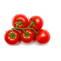 Kutu tarzı depolama kırmızı taze domates
