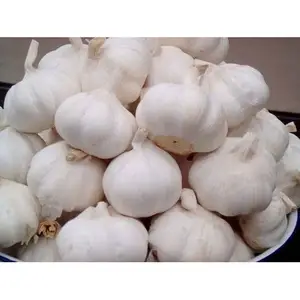 Fresh White Garlic/Natural Garlic Wholesale Price