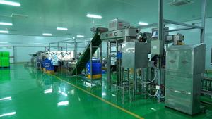 Cashew <b>nuts</b> <b>kernel</b> w240 w320 w450 at best price HANFIMEX FACTORY 0084327324400 - Product Image 5