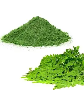 Sıcak satış/Moringa Oleifera tozu Gia Gia Nguyen şirket