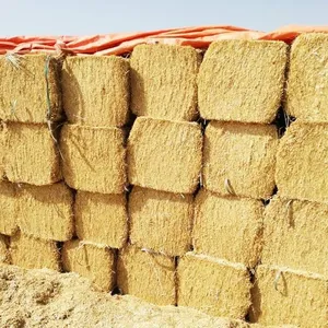 top quality wheat straw hay /