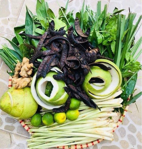GOMA DE FRIJOL-Fructus secos Gleditschia - Product Image 5