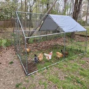 Düğme kapatma ile büyük nefes demir tavuk Coop Walk-In kanatlı kafes hayvan desen ev tasarımı - Product Image 5