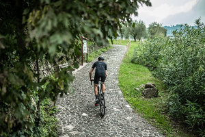 Ridea-anillos de cadena ovalados de doble cambio para bicicleta - Product Image 4