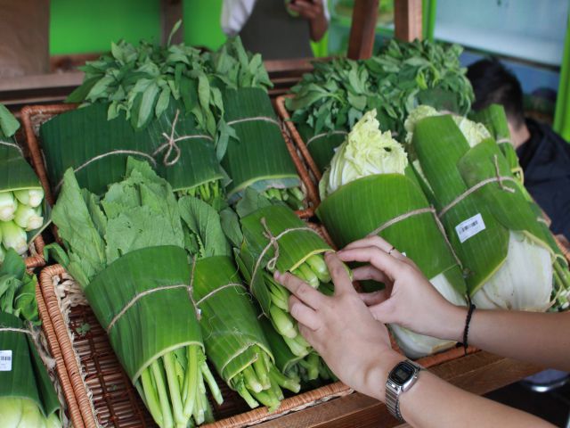 Frozen Banana Leaf For Serving Food from Viet Nam