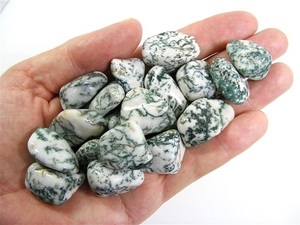 หินโมราคริสตัลรูปต้นไม้,หิน Tumble สำหรับหินร่วงลงแบบขายส่งซื้อจาก N H Agate - Product Image 5