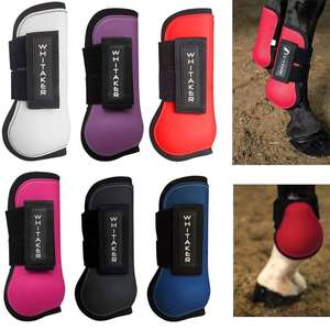 John <span class=keywords><strong>Whitaker</strong></span>-Juego de botas, tendón y Fetlock - Product Image 4