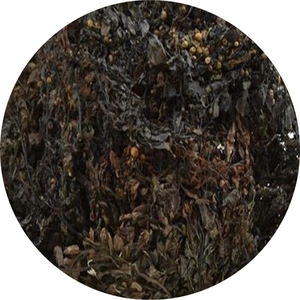 Dried Sargassum <b>Seaweed</b> With High Quality From Vietnam/ Ms.May - Product Image 4