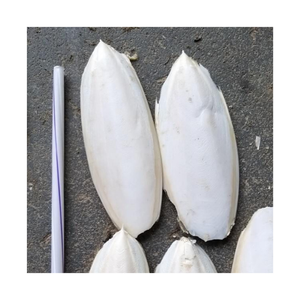 Arêtes de seiche minéral, os pour vos oiseaux et reptiles, riche en minéraux et en Calcium - Product Image 6