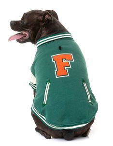 Chaqueta de The Letterman para mascotas, ropa de aventura cómoda, verde, reciclada, para perro - Product Image 6