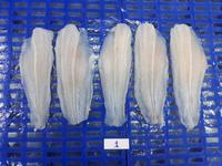 Filet de Pangasius surgelé IQF de qualité supérieure en provenance du Vietnam, certifié HACCP et HALAL, emballage sous vide de 25 kg, durée de conservation de 2 ans, prix bas