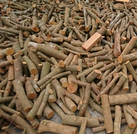 Fabricant Professionnel Vietnamien de Charbon de Bois Actif de Haute Qualité pour Barbecue, 7900 Calories, 3% de Cendres, Prix Usine 5-6