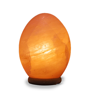 Lampe à oeufs de sel de l'Himalaya en forme ovale Technique sculptée Eco-Friendly Durable Antique Style Art Collectible - Product Image 1