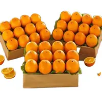 Сладкий китайский оранжевый/Свежий Оранжевый, военно-морской оранжевый, апельсины Valencia