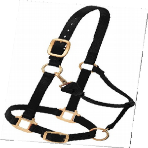 Weaver Horse hermoso Halter de nailon negro personalizado estilo inglés accesorio de brida revestimiento de PVC de fabricación india ajustable en; 34648 - Product Image 1