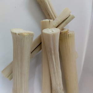 Juguetes Masticables de Caña de Azúcar Seca para Mascotas Alice +84 904 183 651, Empaquetados en Bolsa - Product Image 3