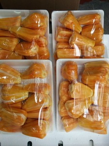 Bandelettes de Jackfruit de la reine des neiges Ms sofia - Product Image 6