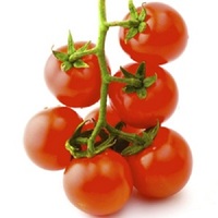 Tumbuh Segar Merah Tomat Roma Robinson MOQ Segar 10 Buah Cepat
