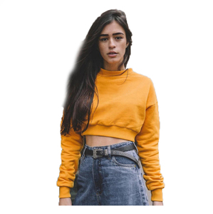 Wholesale Women <b>Jumper</b> Custom Logo Hot Girl Women Clothing Crop Top Long Sleeve <b>Plain</b> Blank Cropped Thick Cotton Hoodies Hoodie - Product Image 1